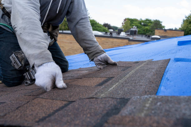Best Roof Waterproofing Services  in Pagedale, MO