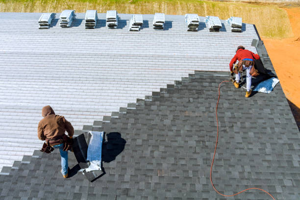 Best Roof Restoration Services  in Pagedale, MO
