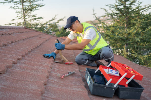 Best Metal Roofing Contractor  in Pagedale, MO